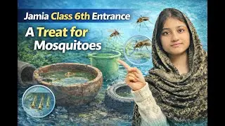 Jamia Millia Islamia EVS  6TH ENTRANCE FREE ONLINE CLASS| JMI, AMU Free Online Classes