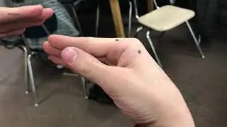 Playing with handpuppets with The Mischievous Five