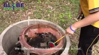 Thailand GLOBE Dengue Cases Education and Prevention