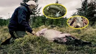 He Came Across A Red Deer In The Wilderness And Used This Advantage To Win The Survival Competition.