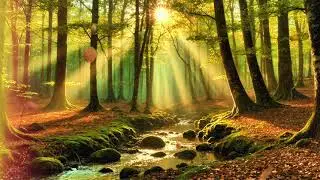 Music for Study & Deep Work 3 Hours of Calming 🌲 Focus Better Today