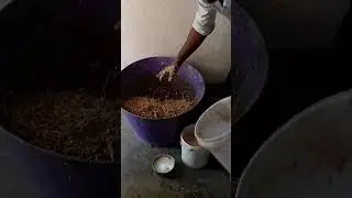 बकरी को पेरा कुट्टी कैसे खिलाएं|bakri ko paira kutti kaise khilaye