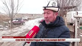 СОКУЛУК РАЙОНУНДАГЫ ҮЧ БАЛАНЫН ӨЛҮМҮ