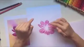 Flor simples com lápis aquarela