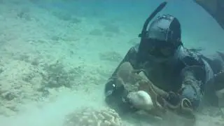 Hawaii Spearfishing 