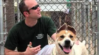 Humane Education