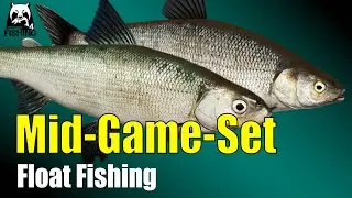 Russian Fishing 4 - Kuori Lake  - New Setup Float Fishing, Peled and Kuori Whitefish #rf4
