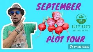 September plot tour and thoughts on Autumn