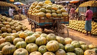 Rk Haat Bazar