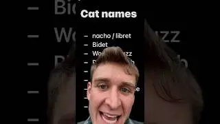 Help me name my cats🤗 w Carter Kench #shorts