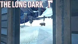 We Found Him | Crumbling Highway | The Long Dark Stalker S21 E208
