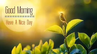 POWERFUL MORNING MUSIC - Wake Up Happy & Stress Relief - Heartfelt Melodies for Positive Vibrations
