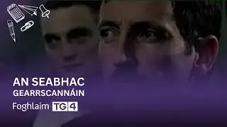 An Seabhac