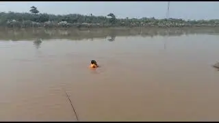 scuba diving practice |rescue1122|punjab emergency services dept#life#savings #force
