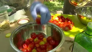 Community Garden Tour & Chef in the Garden Cooking Demo Series