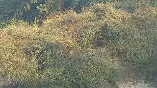 kadunala #amethi #park #subcribe #short #shorts
