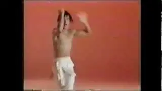 Three Styles of Hung Fist Original