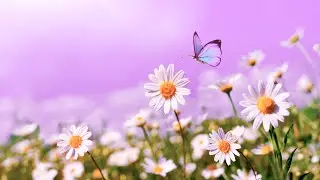 Enhance Self Love Energy | 432Hz Positive Thoughts | Spiritual Meditation | Deep Zen Music