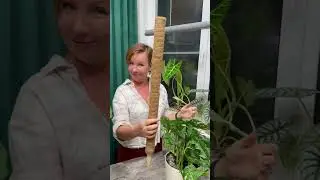 Тотем для моей монстеры &hearts;️