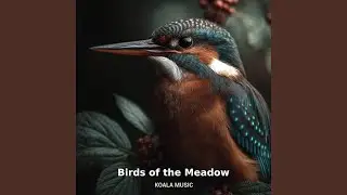Birds of the Meadow Singing in Peaceful Open Fields, Pt.25