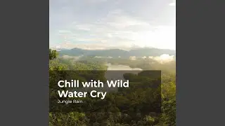 Rainfall in the Jungle