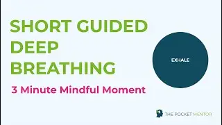 Breathing Exercises For Anxiety | Deep Breathing 3 Minutes (2023)