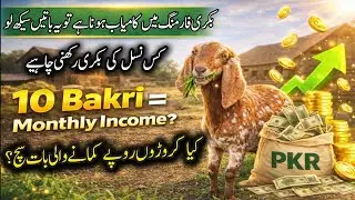 Goat Farming Business | Low Investment, High Profit Complete Guide