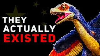 China: The Most Bizarre Dinosaurs To Ever Exist