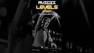 How &lsquo;Levels&rsquo; Made Avicii a Legend &ndash; 5 Insane Facts!