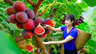 299 Days of Waiting &mdash; Harvesting Ripe Mountain Acorns & Cooking Delicious Soft Tofu