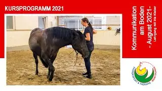 Reiten lernen: Lehrgang 