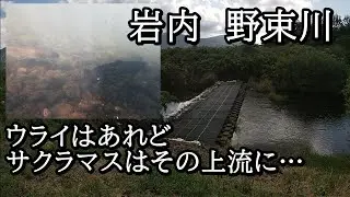 Iwanai - Cherry salmon, yamame, ayu, and urai in the Notsuka River [Hokkaido Underwater Fishing V...