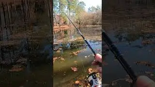 How to catch fish in early winter