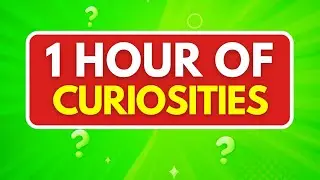 1 HOUR of MIND-BLOWING CURIOSITIES That WILL SHOCK YOU🌍