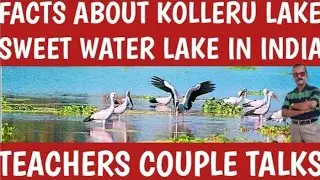 Facts about kolleru lake||sweet water lake in india||famous birds sanctuary||polluted by polltents.!