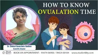 What is Ovulation & How to Know Ovulation Time || Dr. Suvarchala Vardhan