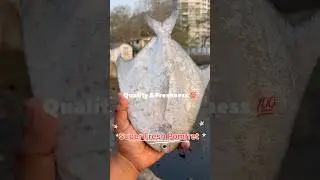 #shorts#viral#trending#sea#seafood#reels#youtubeshorts#fishcutting#pomfret#mumbai#fishing#love#ok#yt