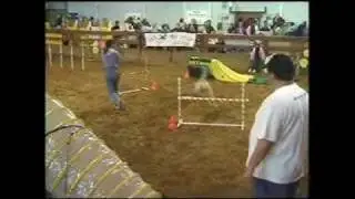 Working Dog Weekend at Lake Metroparks Farmpark