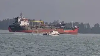 Shipspotting: Discovering the World's Maritime Wonders | BULK CARRIER | CARGO SHIP | SMALL BOAT