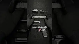 This Springfield Hellcat Pro Comp Build Stands Out | Cyelee Cat X Pro | Streamlight TLR-7X Sub #asmr