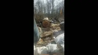 Driller ported husqvarna 359 on 357 case/crank