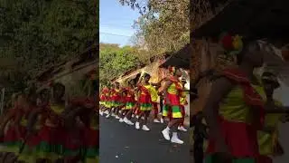 GOA CARNIVAL FLOATS DANCE 2025
