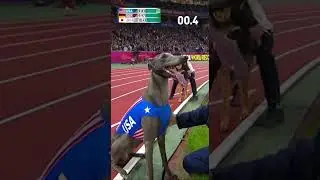 &ldquo;World&rsquo;s Fastest Dogs EVER! 🐕💨 Olympic 100m Photo Finish!&rdquo;