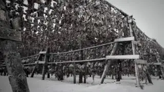 Hausar