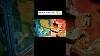 সাপ কতটা ভয়ংকর হতে পারে দেখুন 🤯🐍 | Movie Explanation #youtubeshorts #amazingfacts #shortsfeed #facts