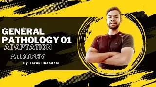 Atrophy cellular adaptation || general pathology ||
