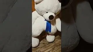 6 февраля 2026 г.