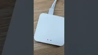 Tuya zigbee crash problem
