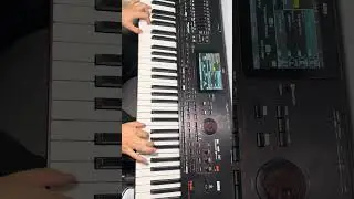 S&acirc;rba de joc sol major.Nou 2025 #music #duet #live