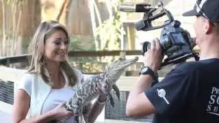 Videographer, Videography, Video Production, Corporate, Business, Videotape, Florida, Palm Beach